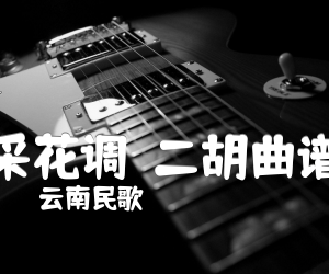 采花调二胡曲谱吉他谱,原版歌曲,简单G调弹唱教学,六线谱指弹简谱1张图