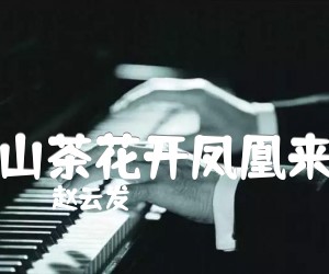 山茶花开凤凰来吉他谱,原版歌曲,简单G调弹唱教学,六线谱指弹简谱1张图