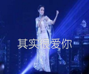 其实很爱你吉他谱,原版歌曲,简单C调弹唱教学,六线谱指弹简谱1张图