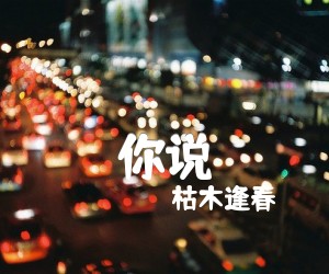 你说吉他谱,原版歌曲,简单E调弹唱教学,六线谱指弹简谱3张图