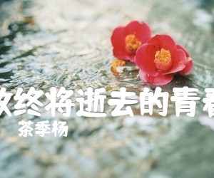 致终将逝去的青春吉他谱,原版歌曲,简单_G调弹唱教学,六线谱指弹简谱完整版_G调_吉他图片谱2张图