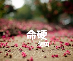 命硬吉他谱,原版歌曲,简单E调弹唱教学,六线谱指弹简谱3张图