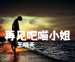 再见吧喵小姐吉他谱,原版歌曲,简单C调弹唱教学,六线谱指弹简谱2张图