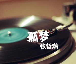 孤梦吉他谱,原版歌曲,简单C调弹唱教学,六线谱指弹简谱3张图