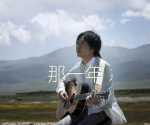 那一年吉他谱,原版歌曲,简单D调弹唱教学,六线谱指弹简谱4张图