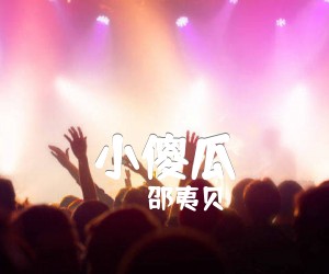 小傻瓜吉他谱,原版歌曲,简单C调弹唱教学,六线谱指弹简谱1张图