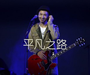 平凡之路吉他谱,原版歌曲,简单未知调弹唱教学,六线谱指弹简谱1张图