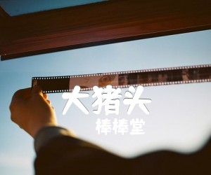 大猪头吉他谱,原版歌曲,简单E调弹唱教学,六线谱指弹简谱1张图